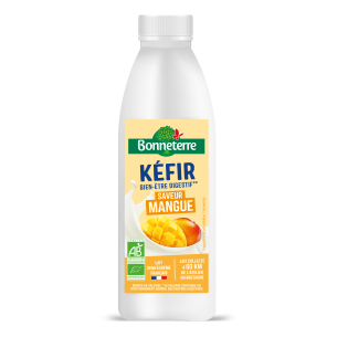 Kéfir Mangue 500mL