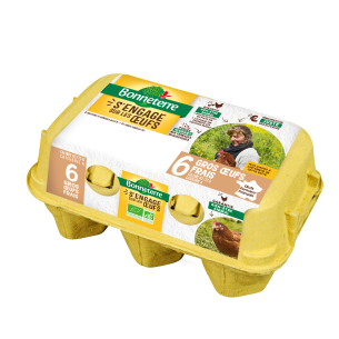 Boite de 6 gros œufs